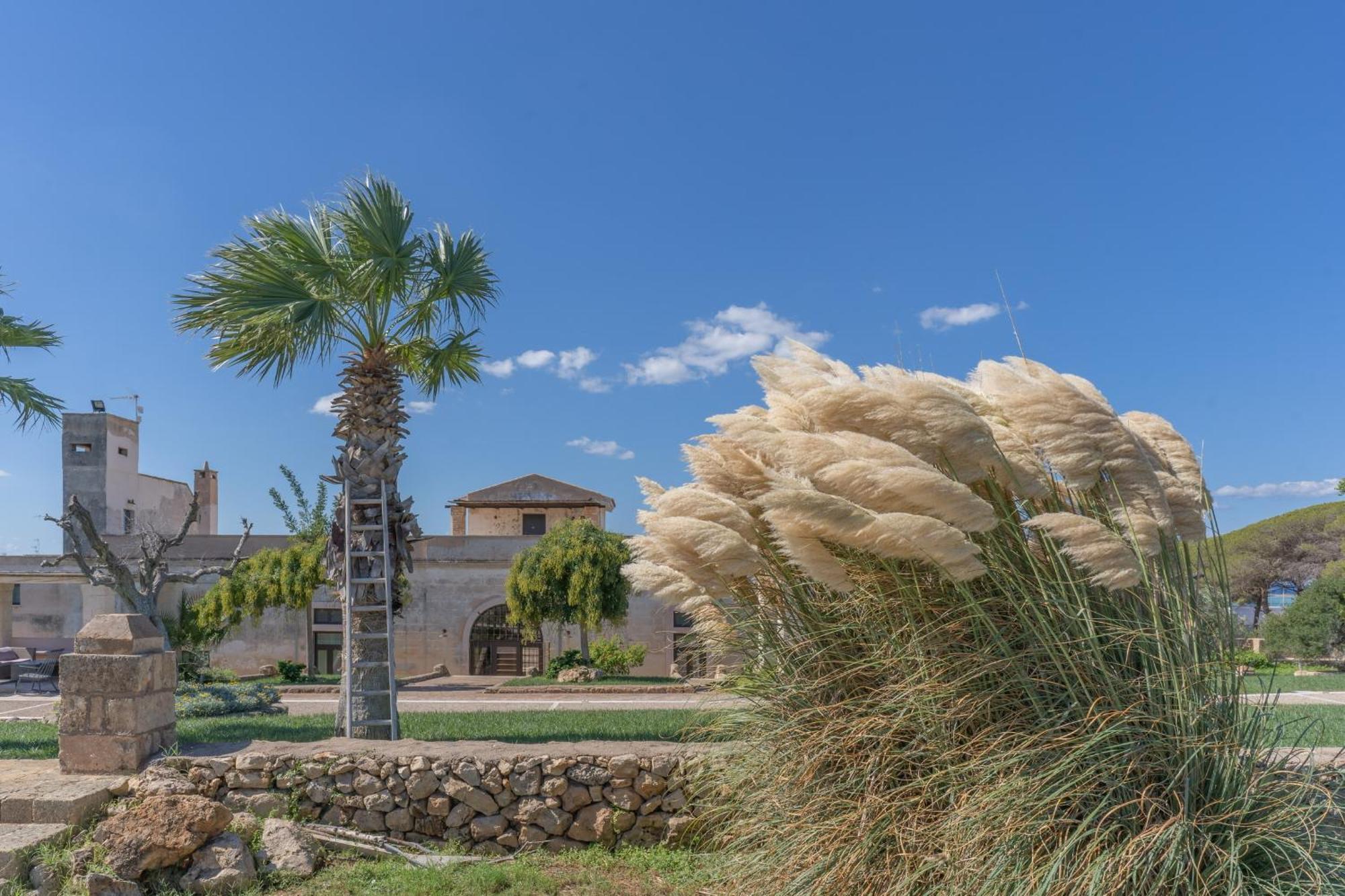 Masseria Casina Bellanova Porto Cesareo Exterior foto
